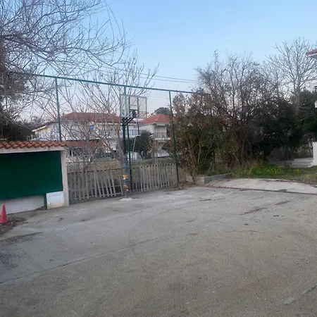 Alex's House * باراديسوس